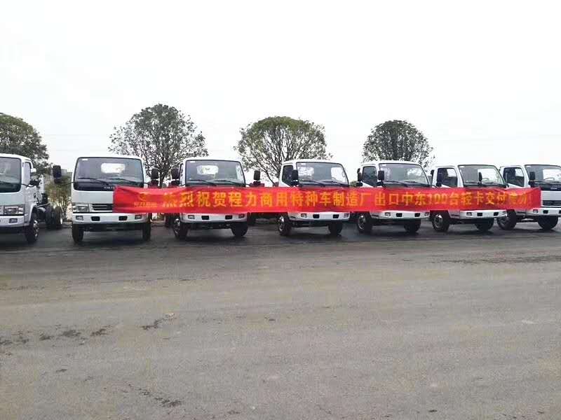 bg大游汽车100台轻卡出口中东国家项目展示